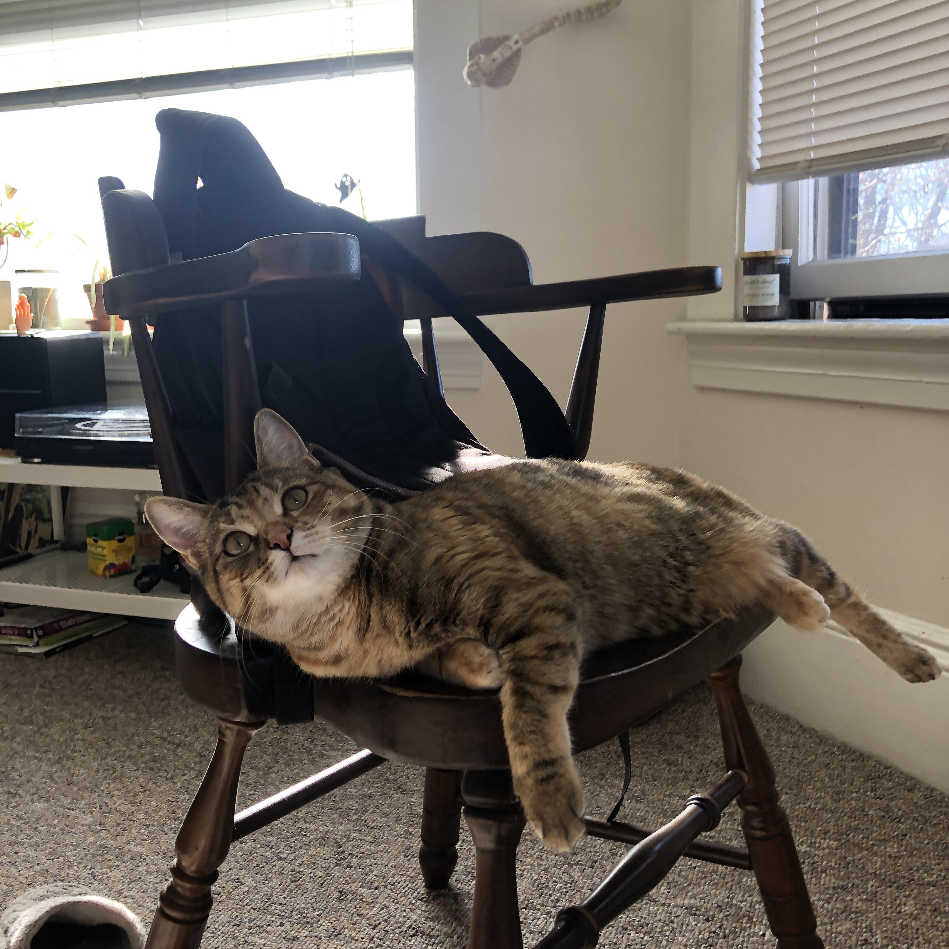 魔术师空砍史上次助攻!奇才铁壁让步行者数据狂欢夜沦为背景