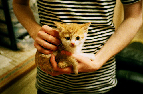 独舞与铁壁，佩德里的艺术与阿根廷的战争