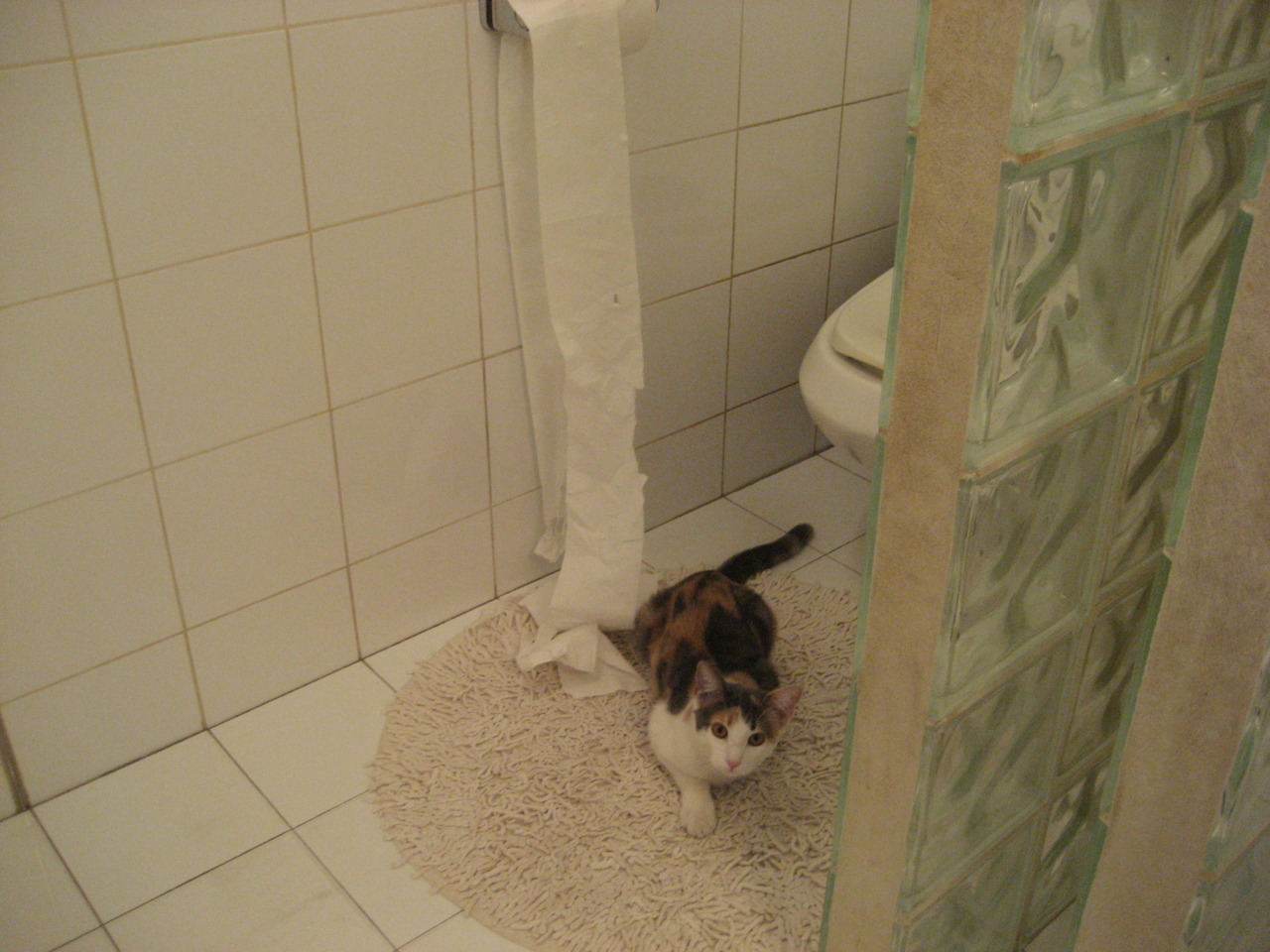 足球之神的传承,2026世界杯之夜,穆勒跨越时空的加冕