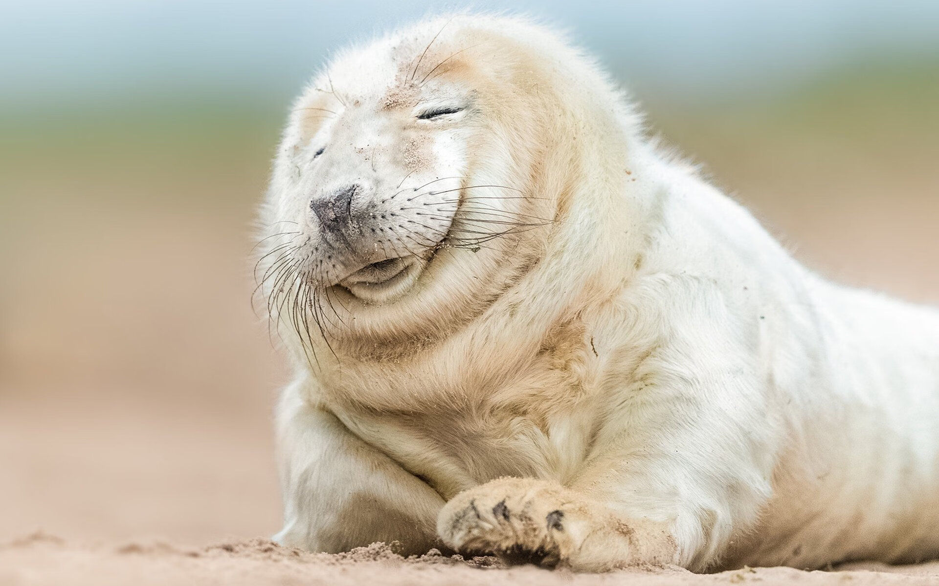 偶然与必然,若日尼奥的勒沃库森之夜