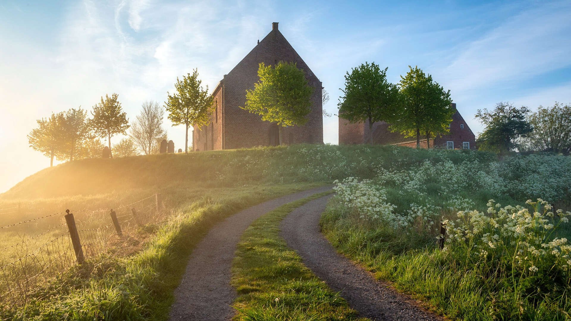 德甲争冠战之夜，厄德高如稳态核心，精密信号永不中断
