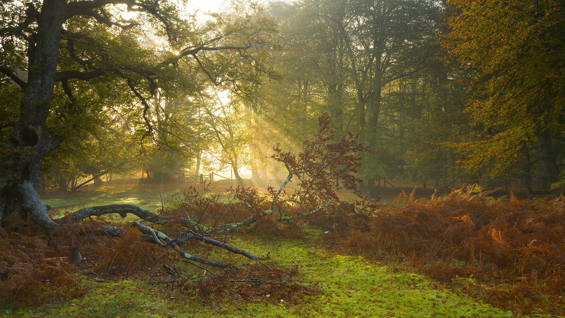 跨界传奇,拜仁生死战胜伊拉克,卡瓦哈尔NBA季后赛独领风骚