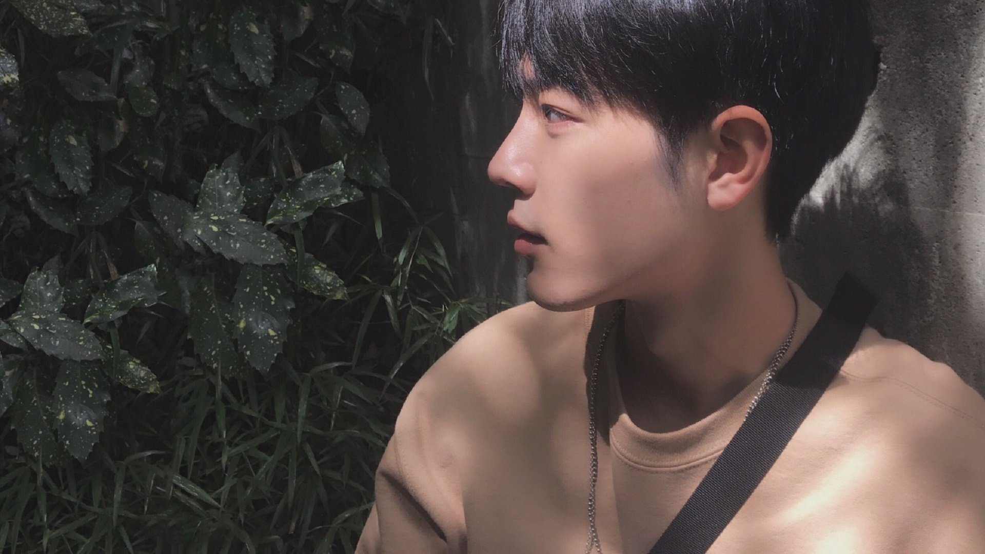 穹顶之上，当开拓者狂胜公牛的数据代码，撞见意甲焦点战的数据幽魂