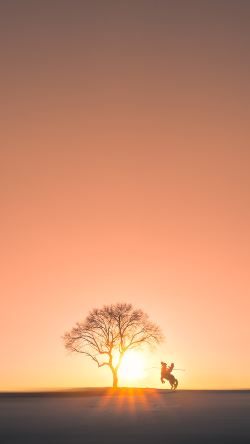 2024年的足球唯一性,当国家德比、苏格兰巅峰与马赛交响曲同奏