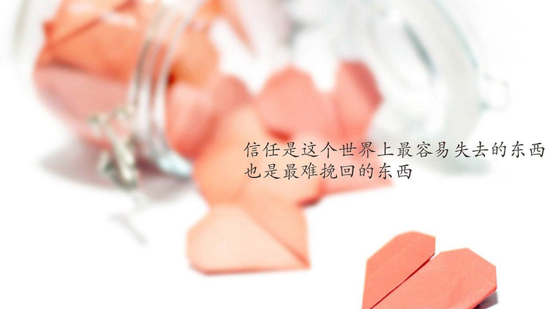 安第斯山脉与落基山的对撞，当凯恩的手术刀划破美洲杯宿命，铸就F组唯一解