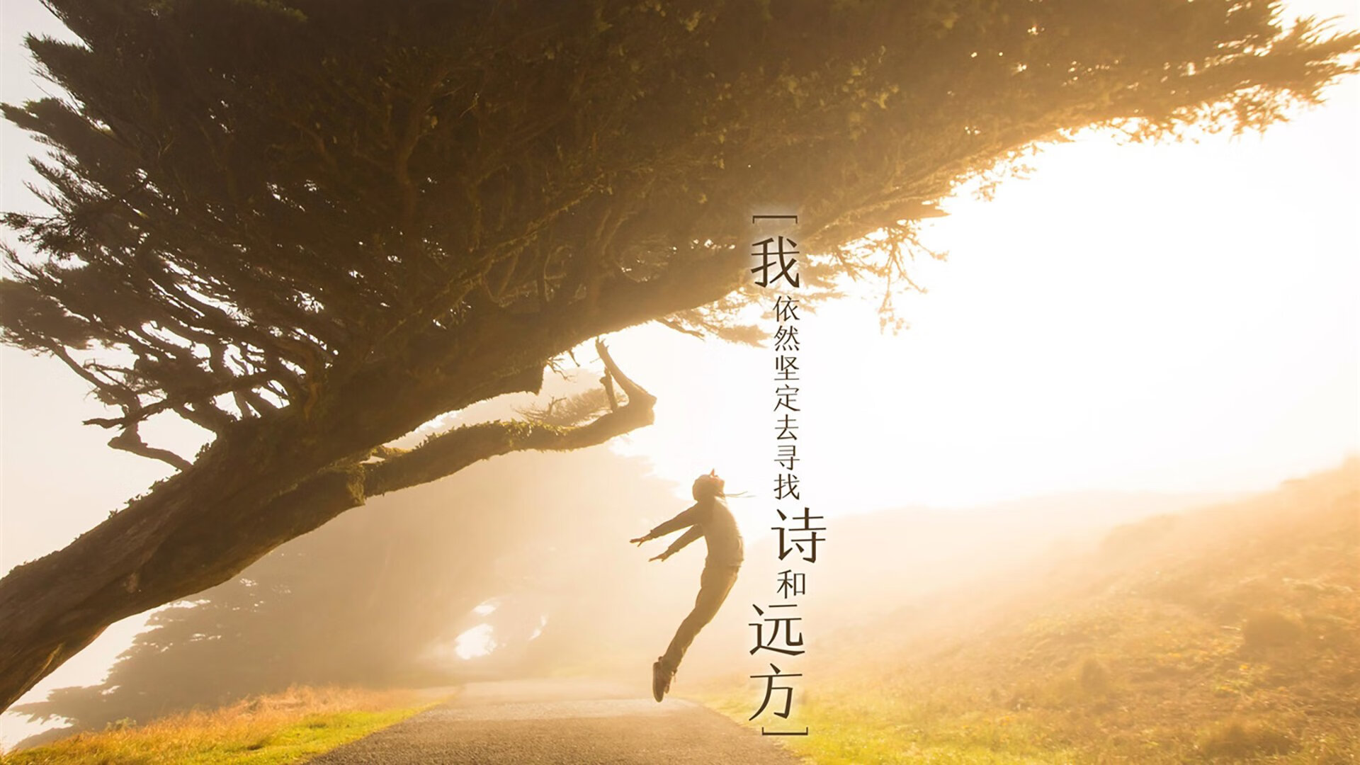 维也纳森林的战术课，当北欧海盗撞上铁血猎手，凯恩的孤勇与奥地利的完美陷阱