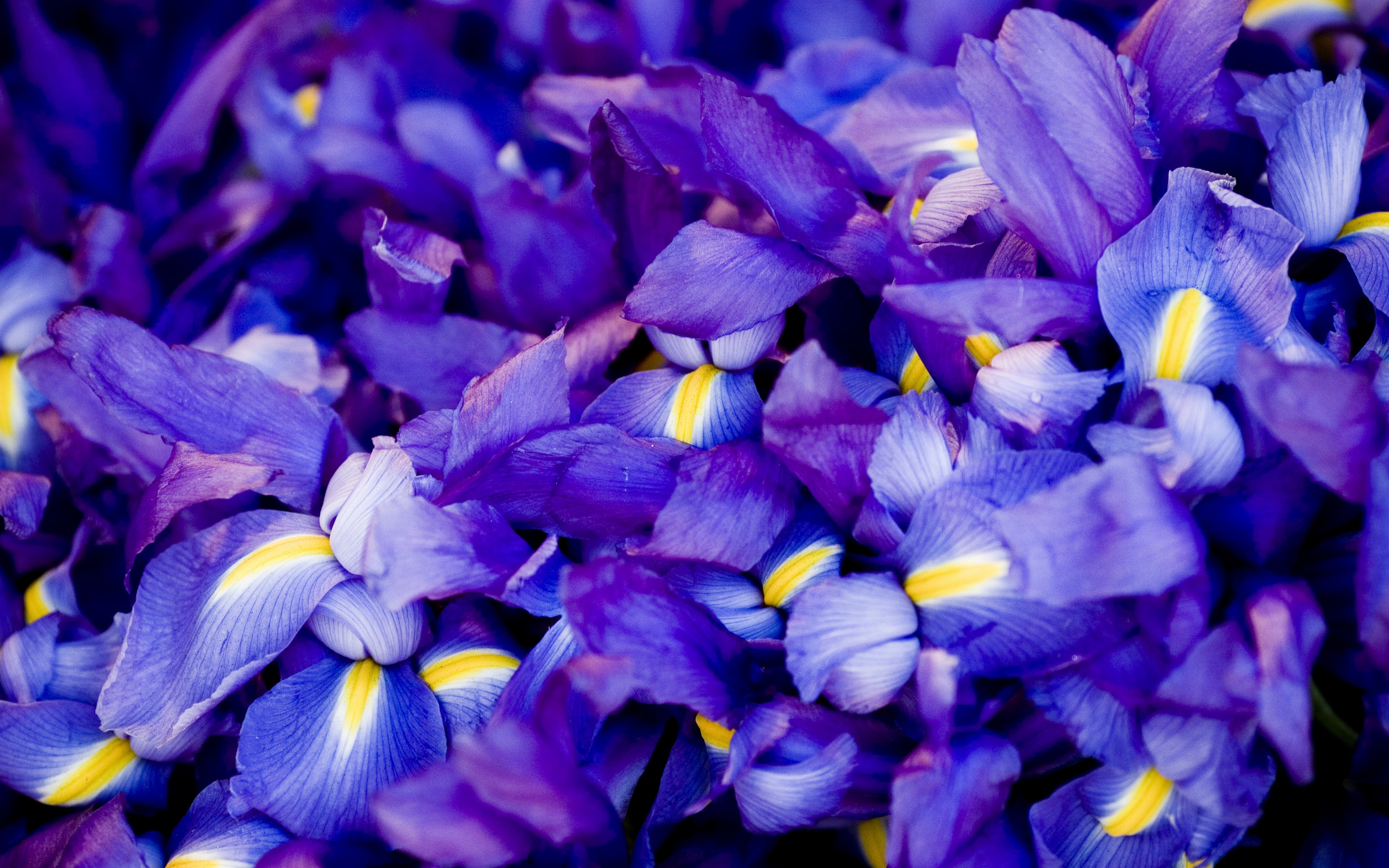 唯一的剧本,当瑞典的控球与逆转,只为C罗的加冕配戏