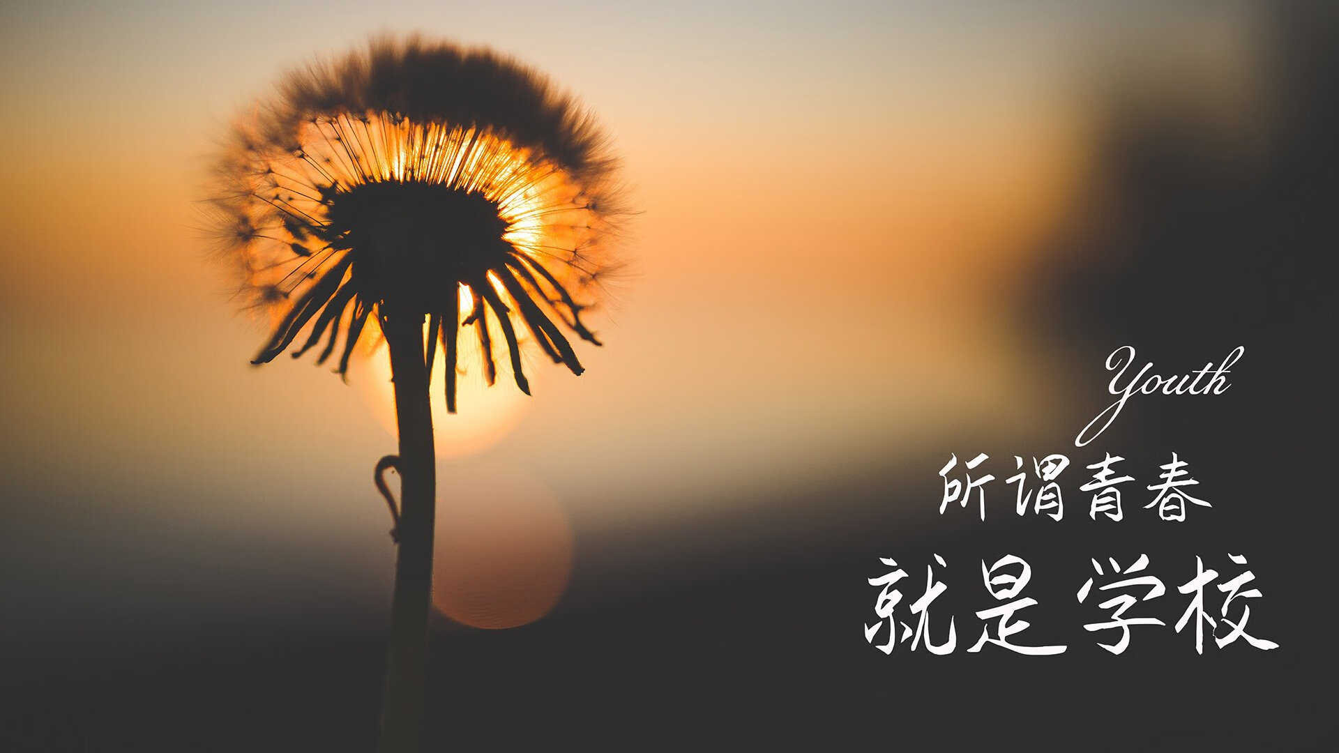皮球的质问,当96%的控球率遭遇4%的致命一击—从拉什福德绝杀看葡萄牙的完美困境