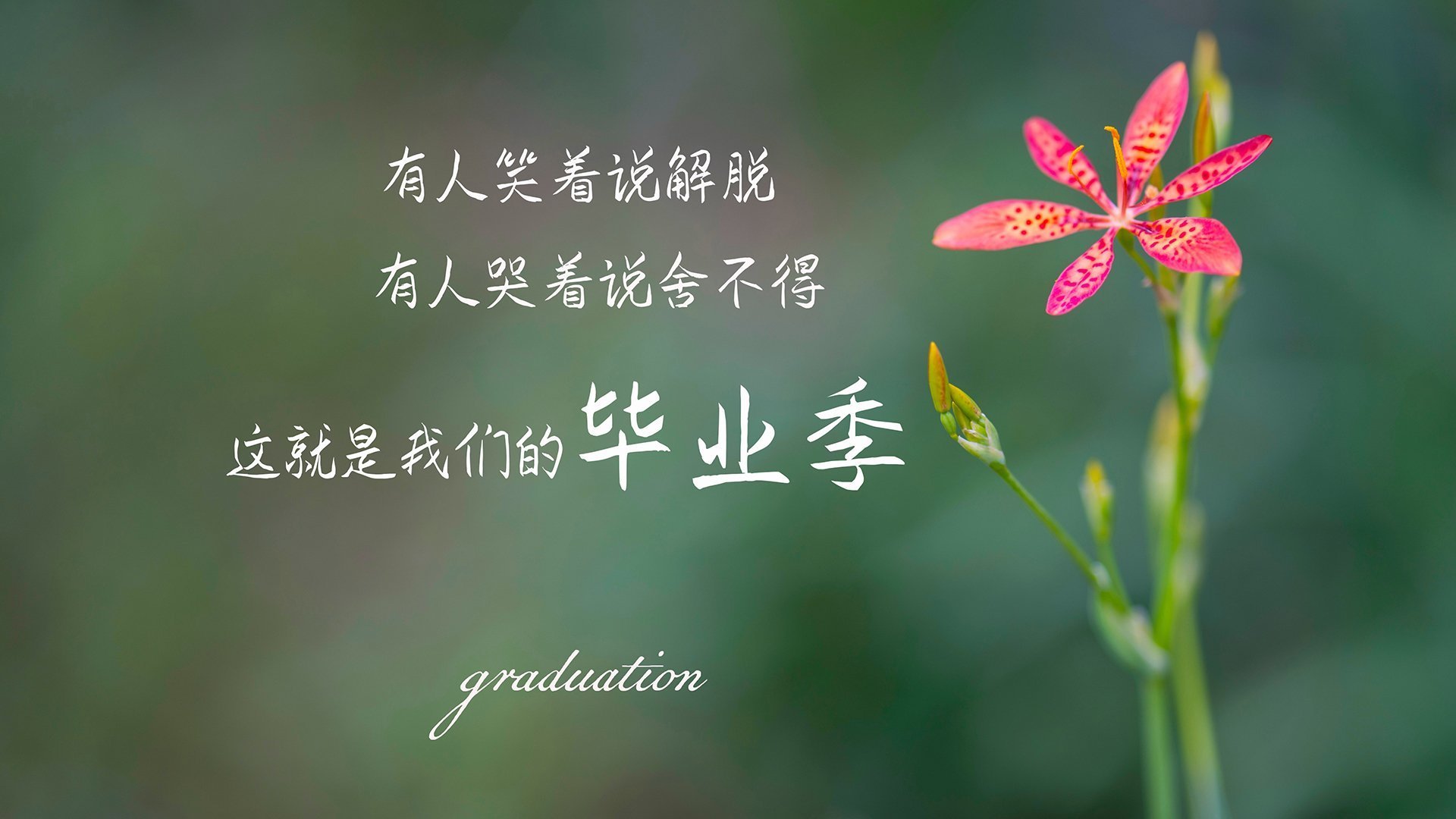 古典的胜利,当巴雷拉用双脚丈量球场,意大利为世界杯留下一曲控制挽歌